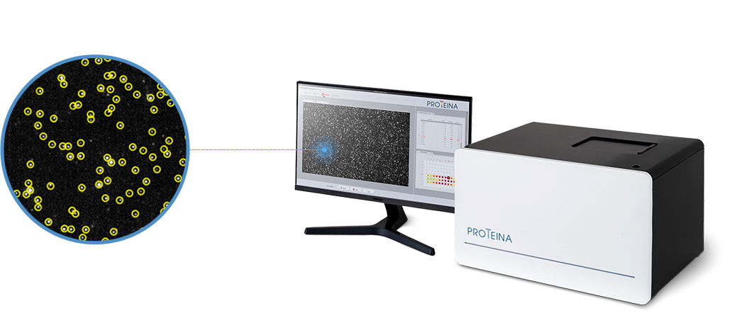 Single-Molecule Quantification